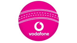 Vodafone Pink Cricket Ball Custom Temporary Tattoo
