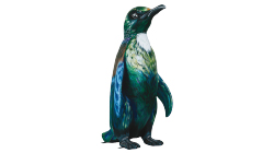 penguin Custom Temporary Tattoo penguin Custom Temporary Tattoo